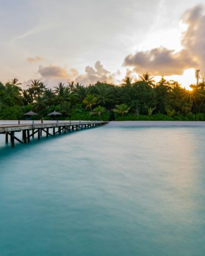 green trees near body of water under blue sky during daytime