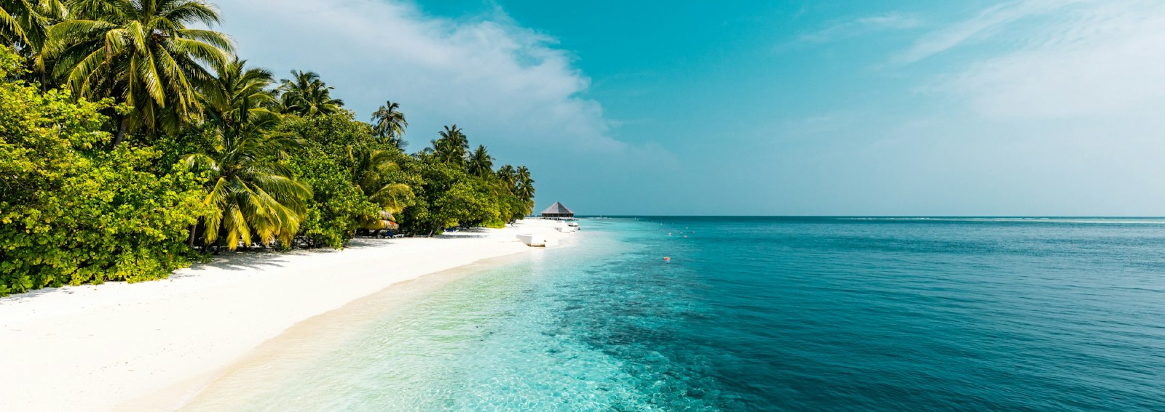 a tropical beach with palm trees and clear water