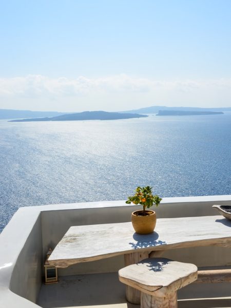 green plant on brown clay pot on white table
