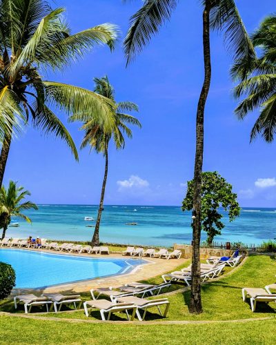tall trees near beach