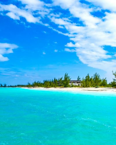 green palm trees on beach under blue sky during daytime