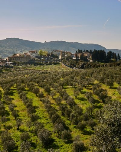 a small village on a hill surrounded by trees