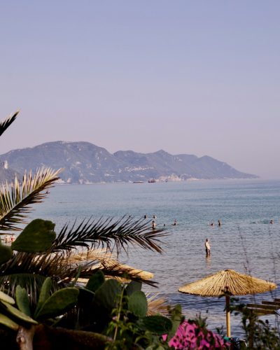 A view of a beach with umbrellas and plants