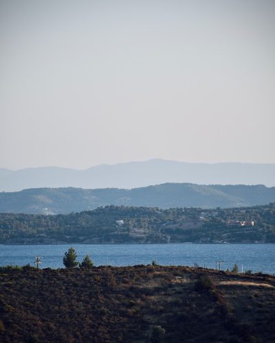 green trees near body of water during daytime