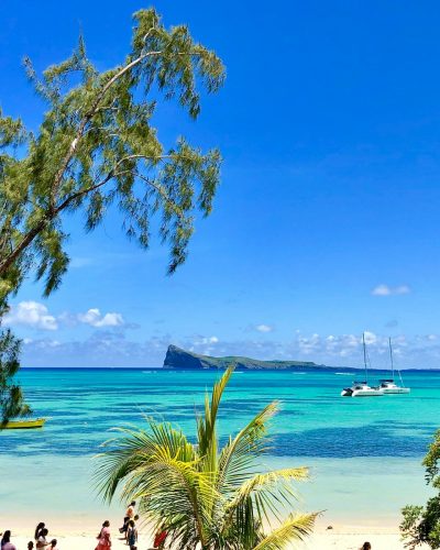 people by the beach during daytime