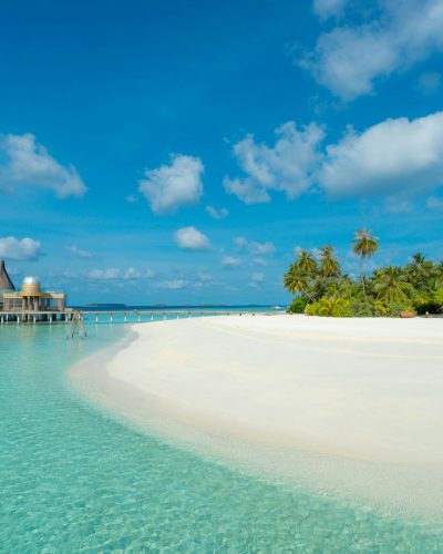 green trees near body of water under blue sky during daytime